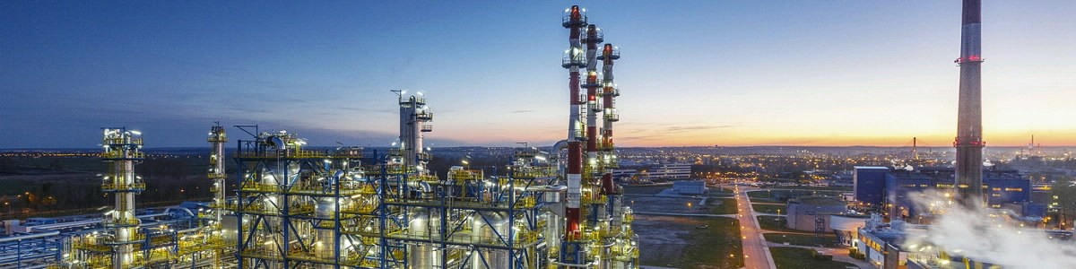 Lotos Oil