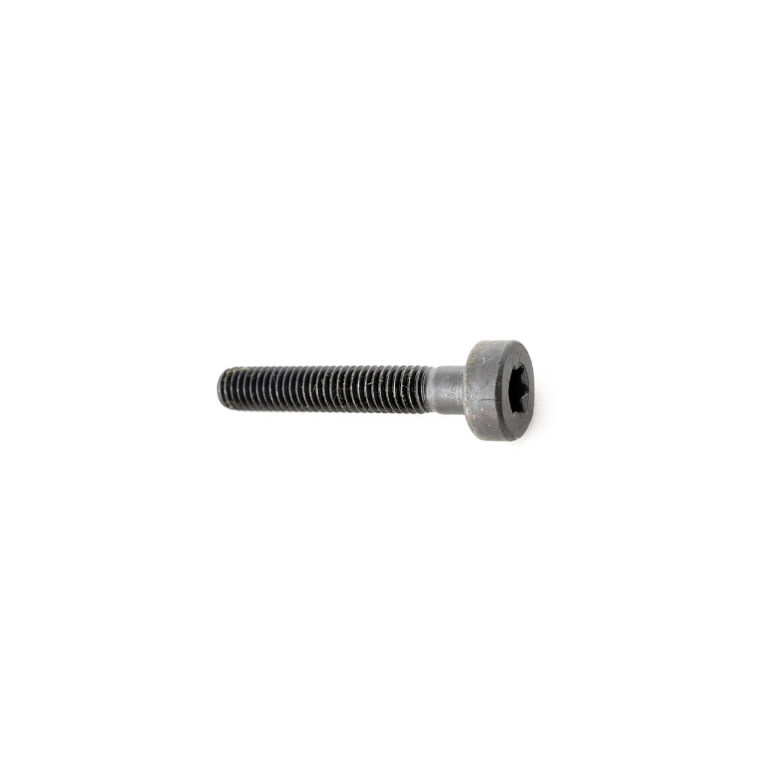 Polt, Torx 5x30 CS-325ES, Echo