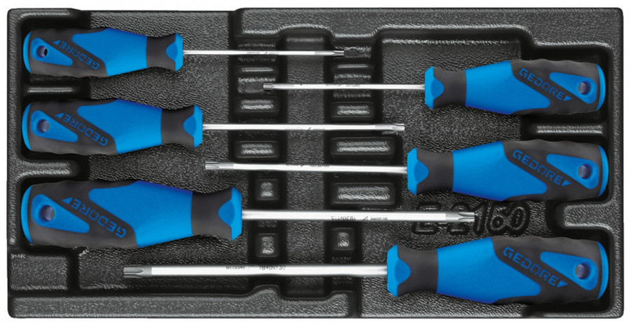 screwdriver set in 1/3 ES tool module 1500 ES-2163 TXB, Gedore