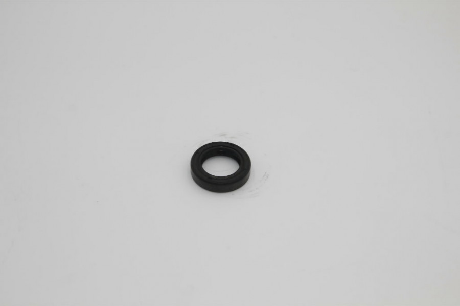 Seal ring 