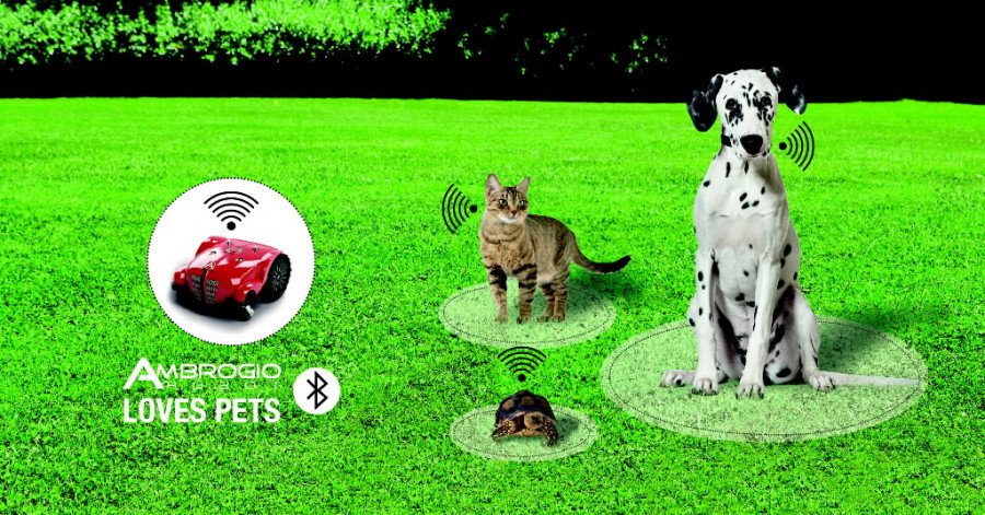 IoT smart device Amico 1