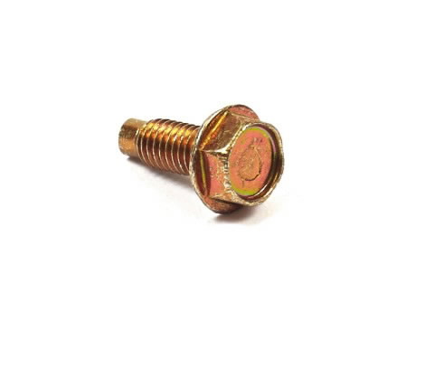 SCREW, Briggs&Stratton