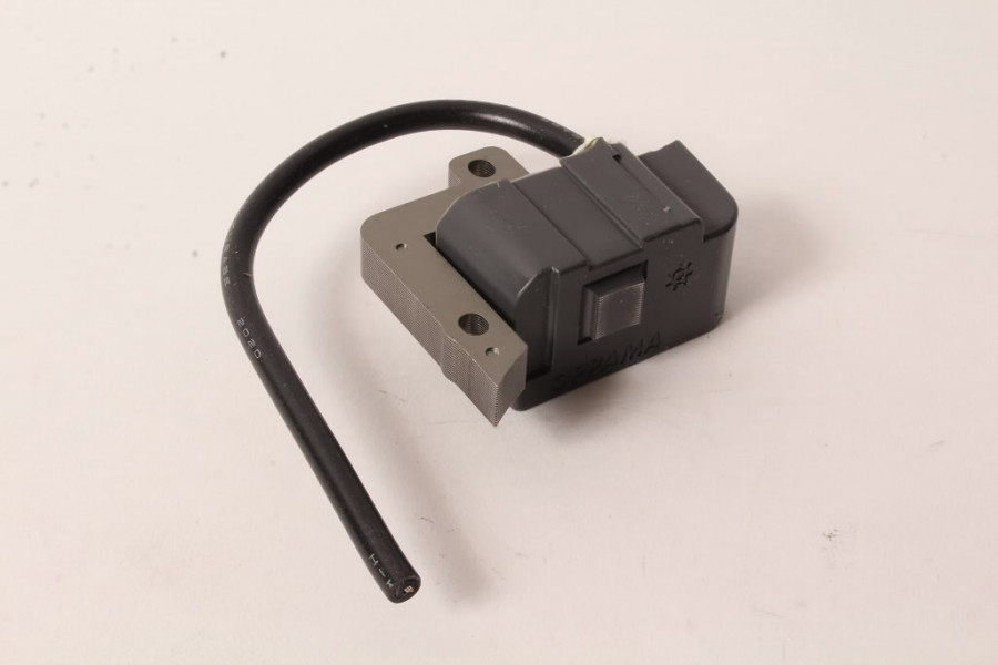 Ignition module, ECHO