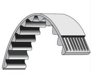 Toothed V-belts, BBT
