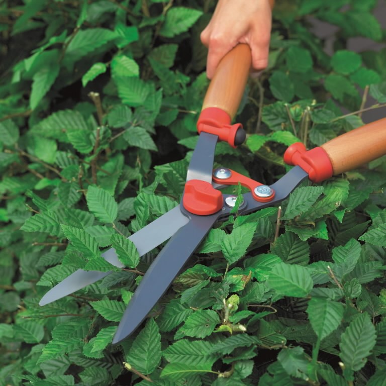 wolf garten hedge shears