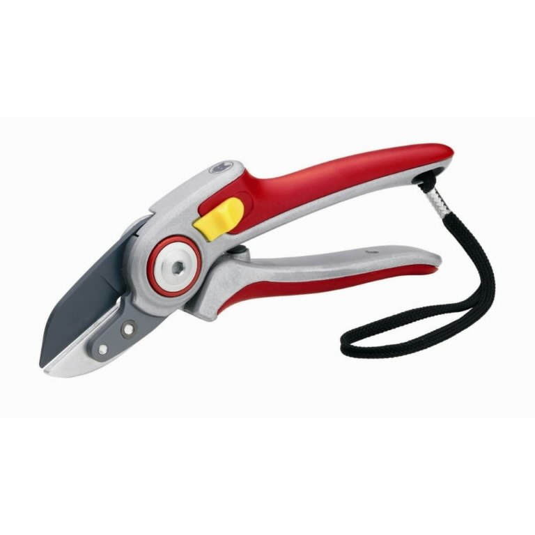 Anvil Alu Secateurs Rs 5000 Wolf Garten Plant Care