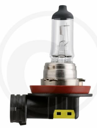 Halogen bulb H11 12V / 55W 