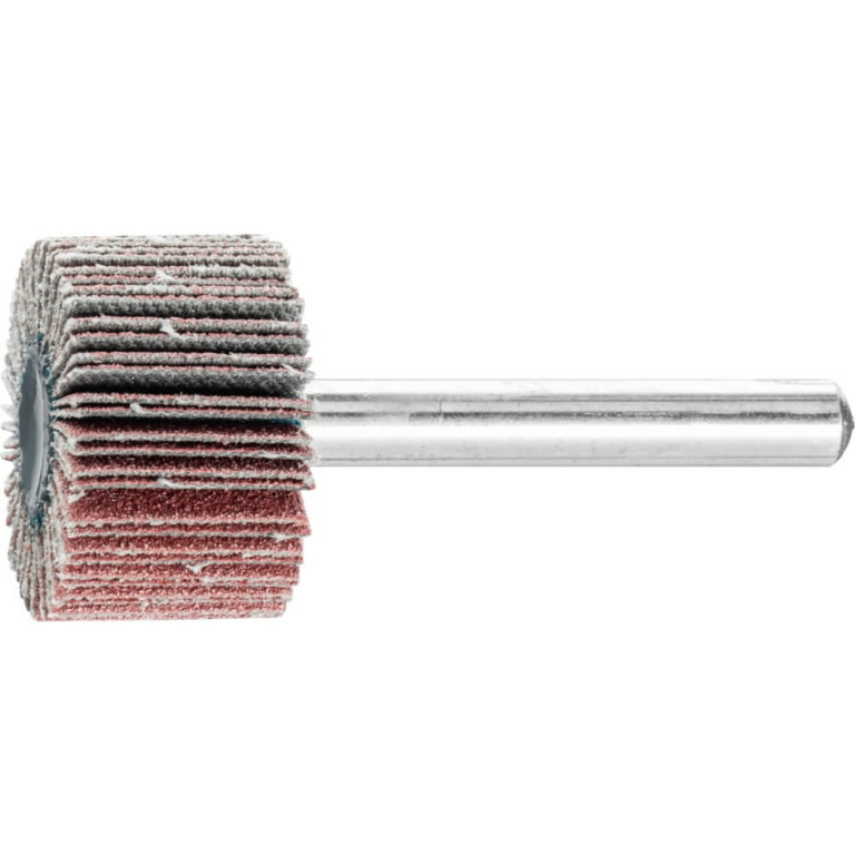 Lameļu slīpdisks F 25x15/6mm A120 1