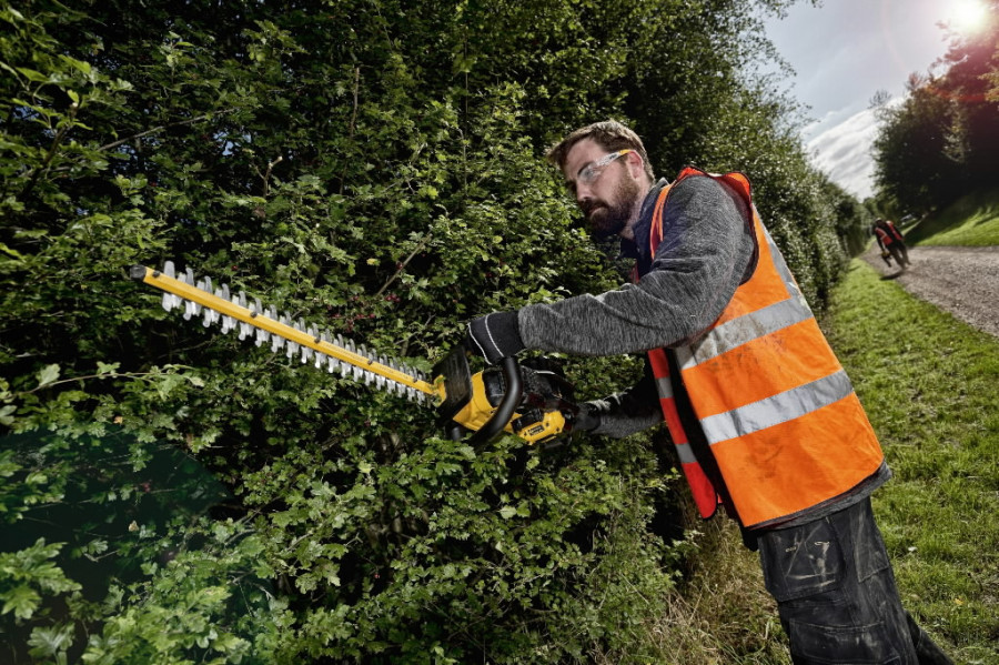 dewalt hedge trimmer cordless