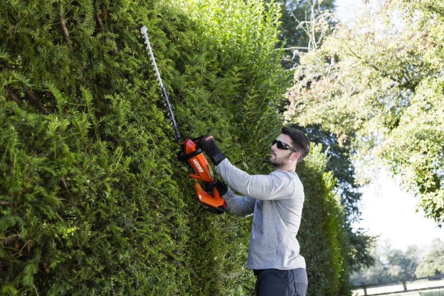 echo battery hedge trimmer
