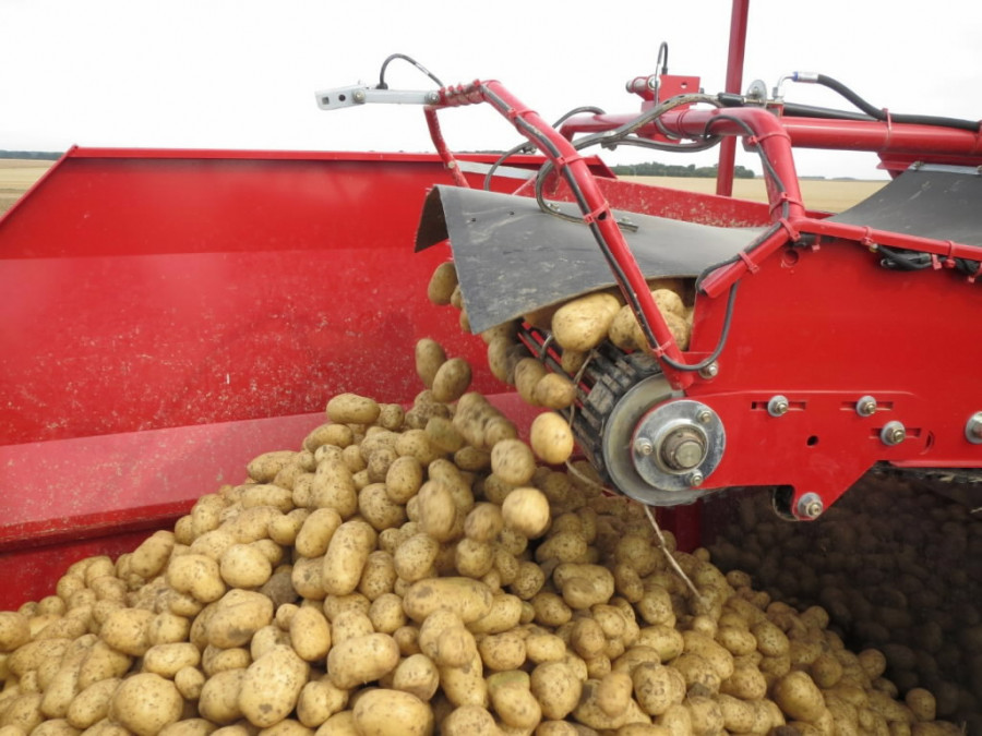 Potato harvester  SE 140, Grimme