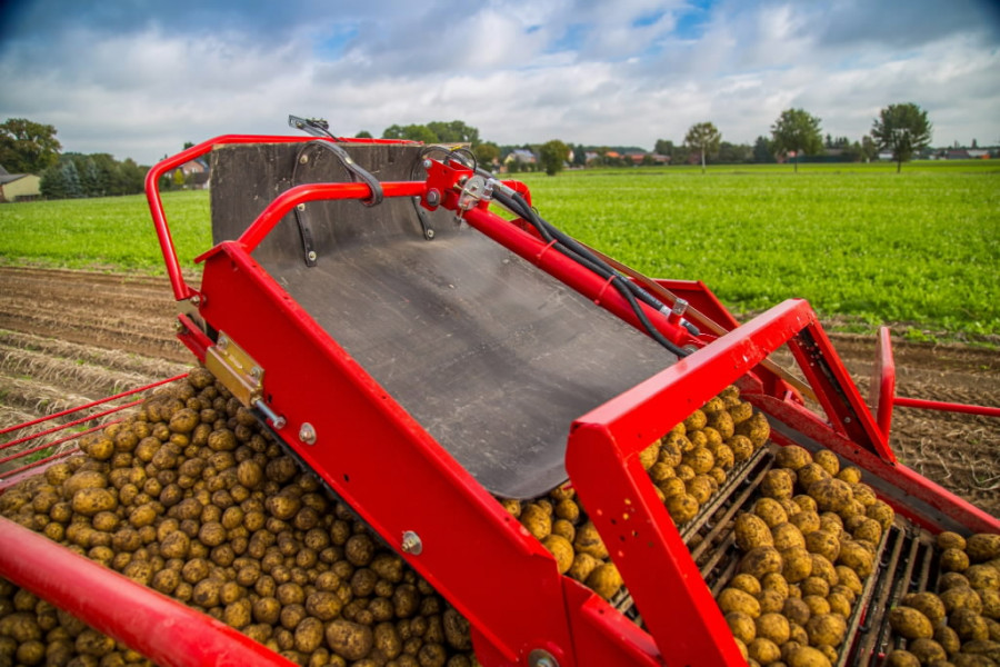 Potato harvester  SE 140, Grimme