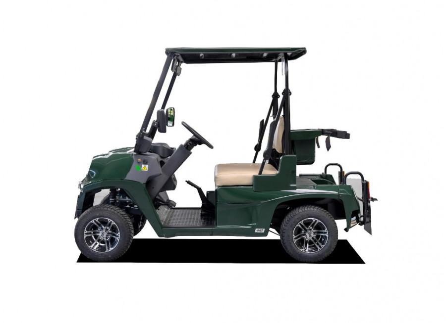 Electric Golf Cart N447  2.