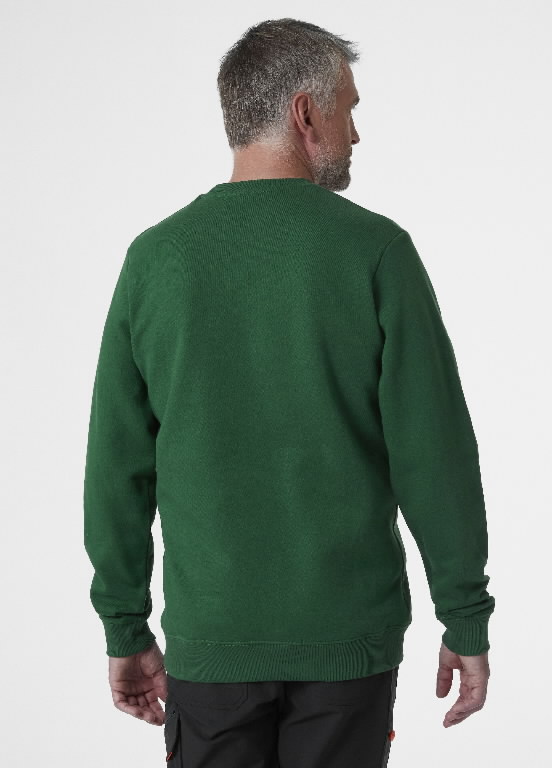 Džemperis Graphic, žalia L 5.