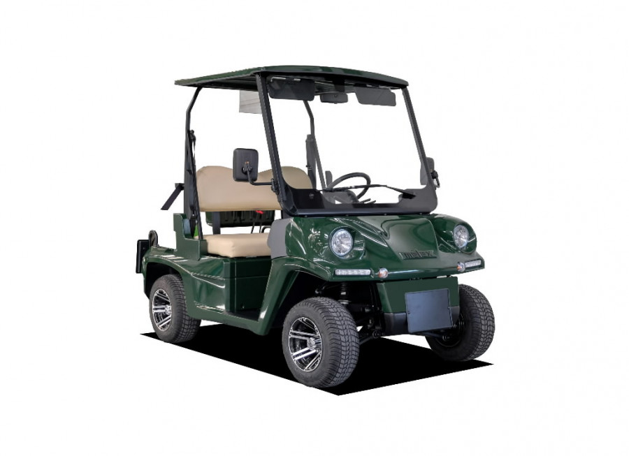 Electric Golf Cart N447  7.