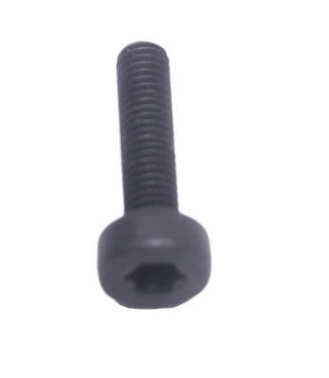 Polt, Torx 5, ECHO