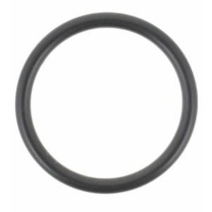 O RING, Dana Incorporated