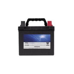 Pro Power Starter Battery 12V 30Ah 270A Ca/Ca