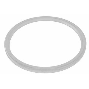 V-ring seal 