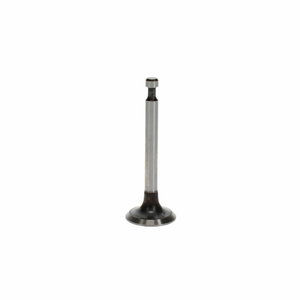 Exhaust valve