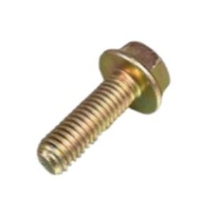 Bolt M8X25 1.25 10.9 DIN6921