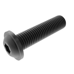 Hexagonal Socket Head Flange Screw, M5 X 16