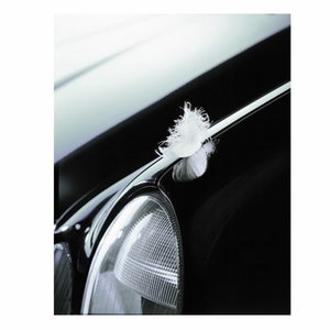 Spot-free rinsing, Kärcher