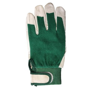 Gloves goat skin, green cotton back, 8