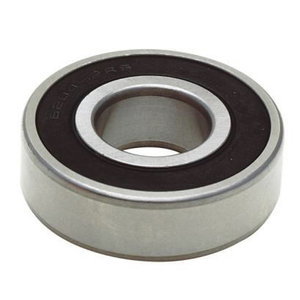 Bearing 1621 2RS