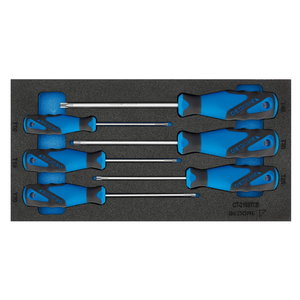 screwdriver set in 1/3 module 1500 CT1-2163