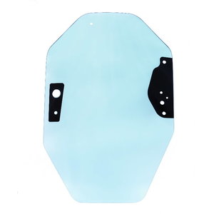 Windshield/door glass, tempered CAT