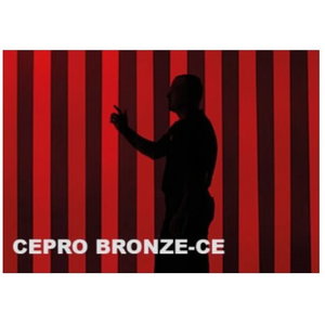 Suvirinimo užuolaidos juosta, bronze 300x2mm, rulonas 50mm, Cepro International BV