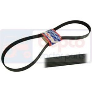 Fan Belt