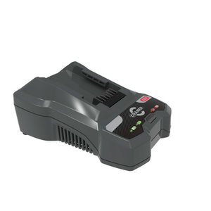 Kroviklis 48C &ndash; 48V 4A DVT EU Plug 