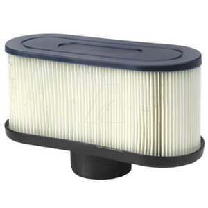 AIR CLEANER, MTD