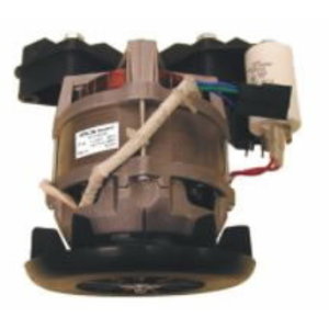 AC eletric motor