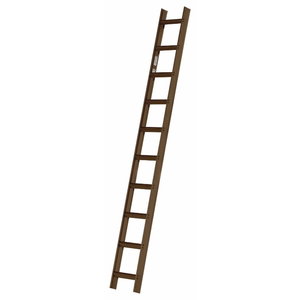 Roof ladder 7 steps 1,95 m 4093