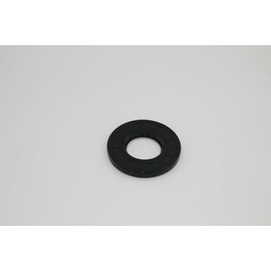 Sealing ring 