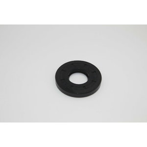 Sealing ring 