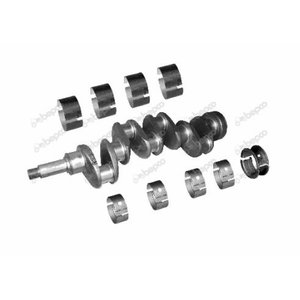 Crankshaft kit Manitou 49261
