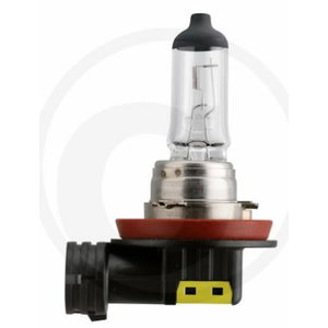 Halogen bulb H11 12V / 55W, GRANIT
