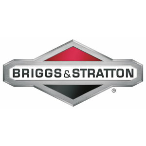 Filter vor Briggs&Stratton 