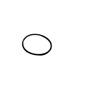 O-ring L60