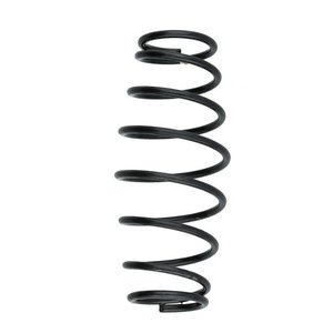 Valve spring