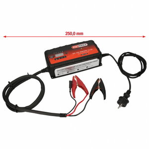 12V + 24V SMARTcharger High frequency battery charger 25A/12 