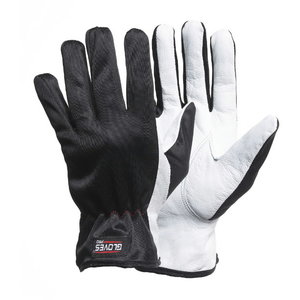 Gloves Dex1, polyester/goat leather, Gloves Pro®
