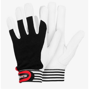 Gloves. DEX 6 7