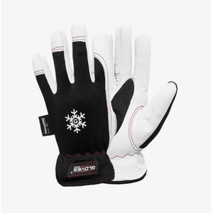 Kindad, DEX 10, Gloves Pro®