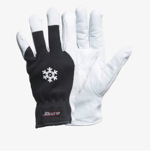 Kindad, DEX 12, Gloves Pro®