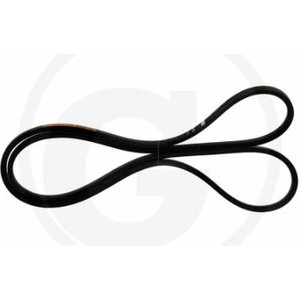 Variaatoririhm NH 336784